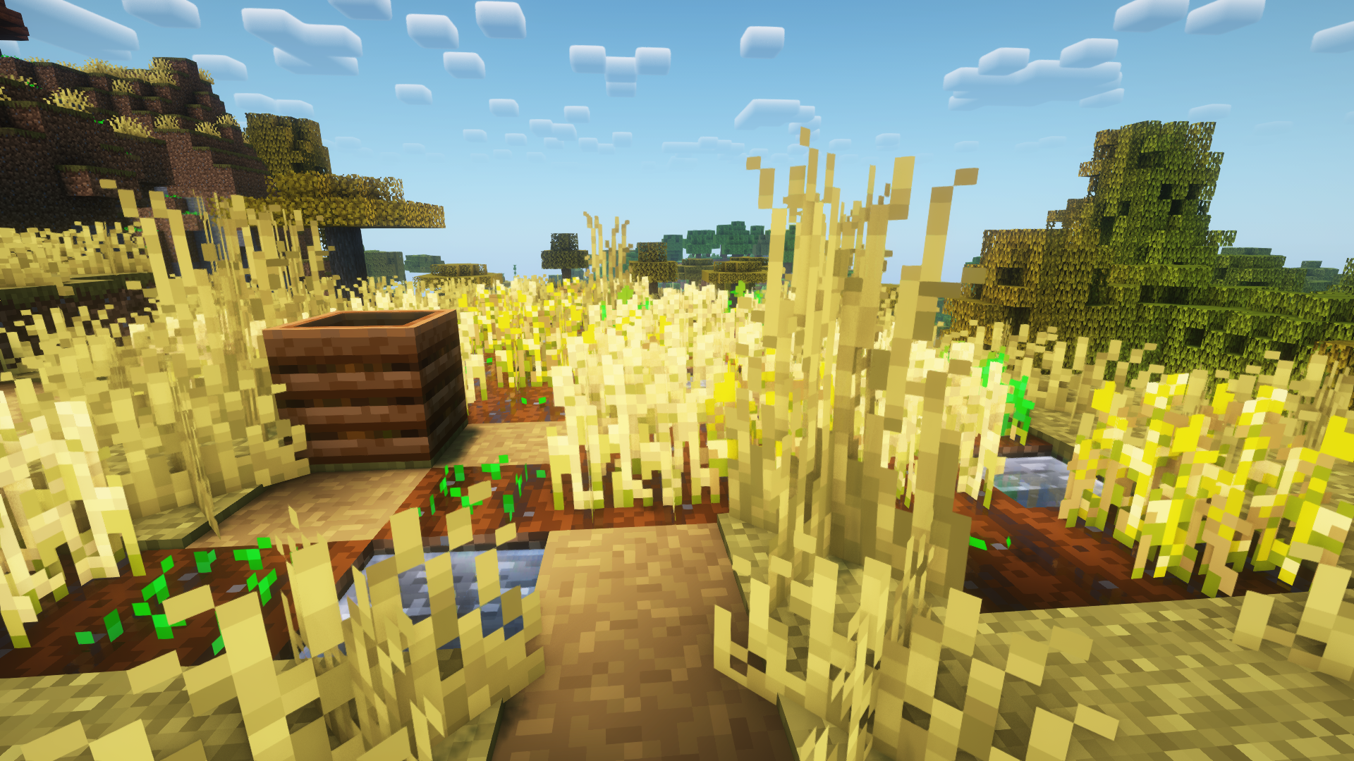 Example Minecraft landscape option