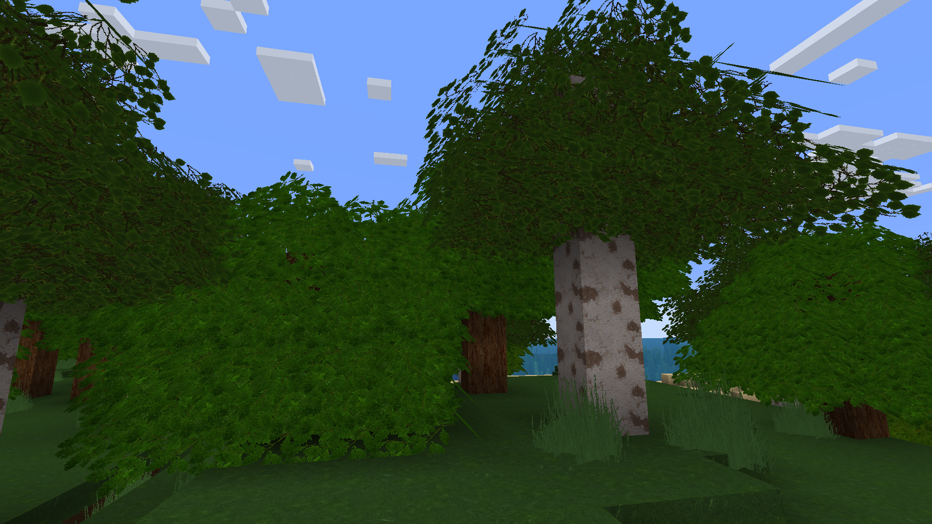 Example Minecraft landscape option