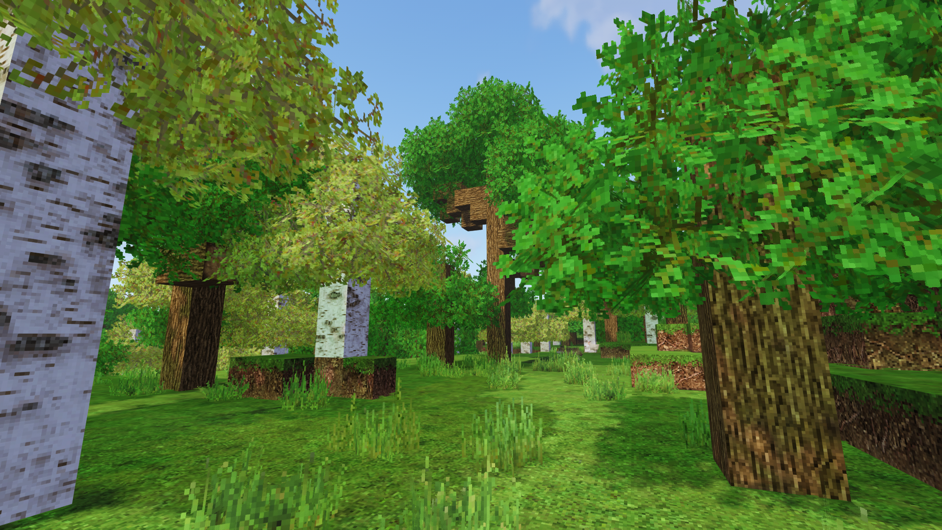 Example Minecraft landscape option