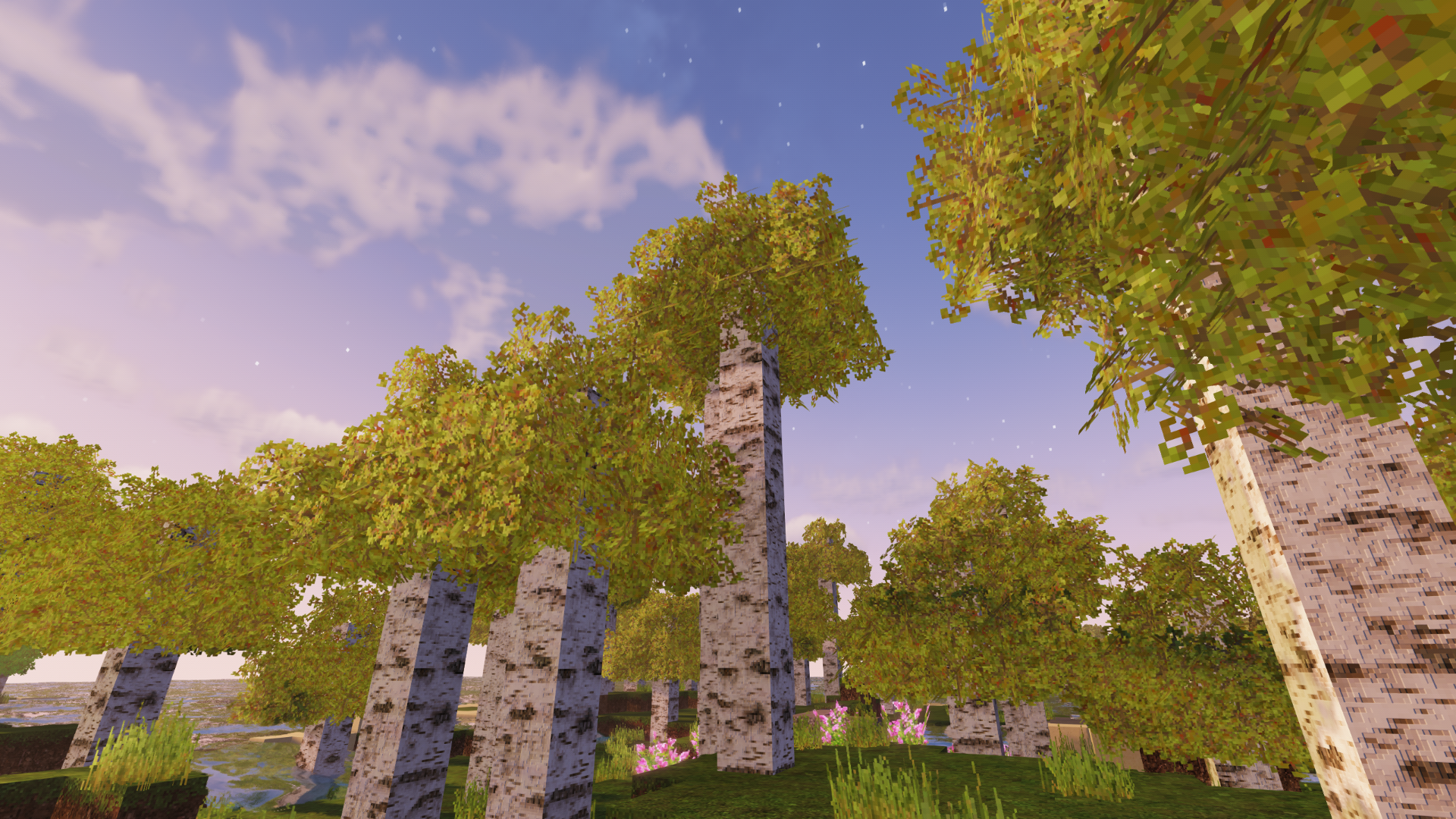 Example Minecraft landscape option